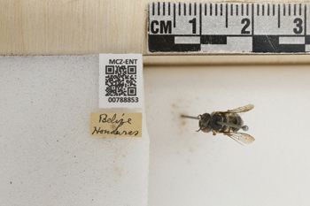 Media type: image;   Entomology 788853 Aspect: Labels